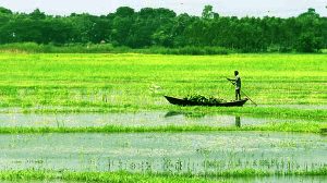বৃষ্টির পানি জমে, এমন নিচু ও জলাভূমি প্রকৃতির জমিকে বলে বাইদ