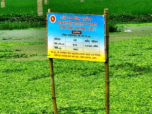 খাসজমি উদ্ধারের পর বসানো হয়েছে সাইনবোর্ড