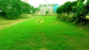 রেলের পতিত জমিতে চাষ করা হয়েছে সবজি